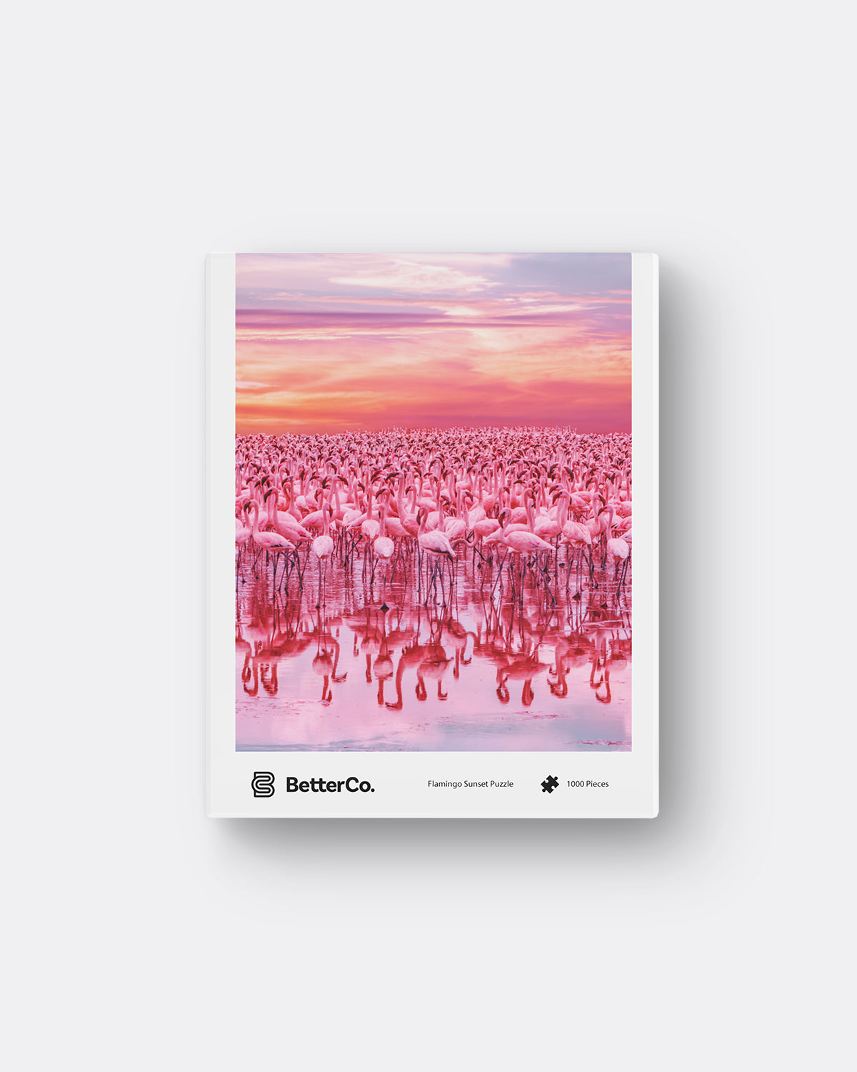 Flamingo Sunset