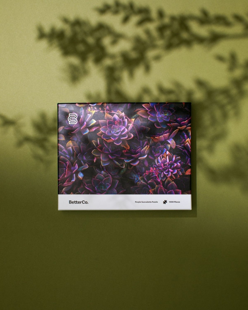 Purple Succulents