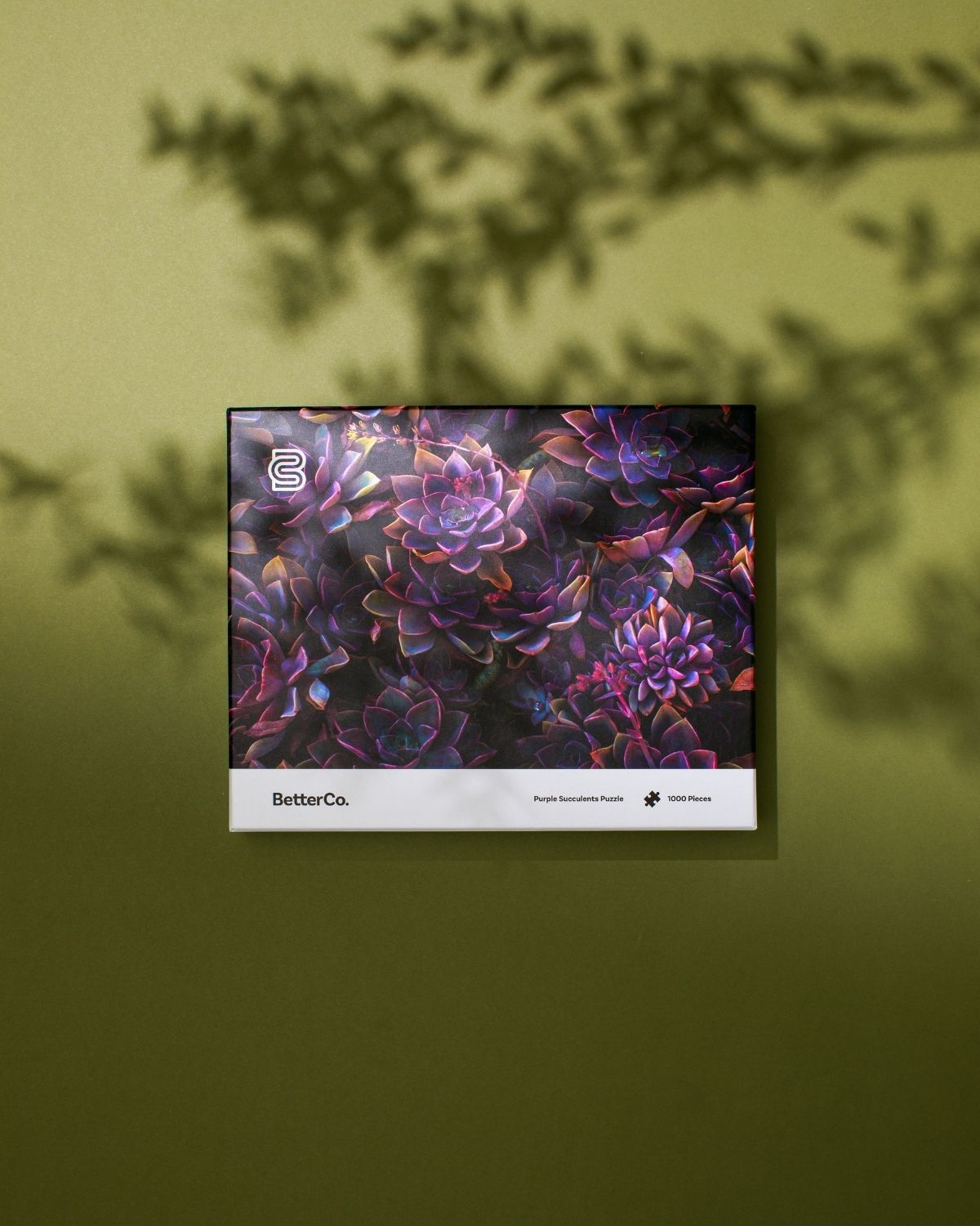 Purple Succulents