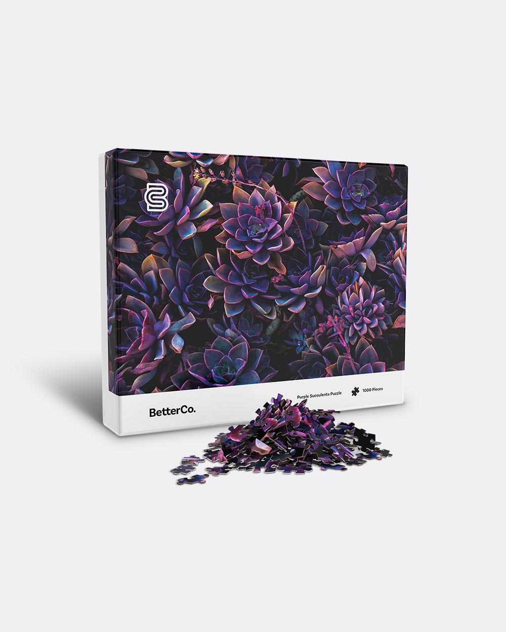 Purple Succulents